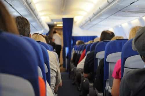 flying people sitting transportation gluten free