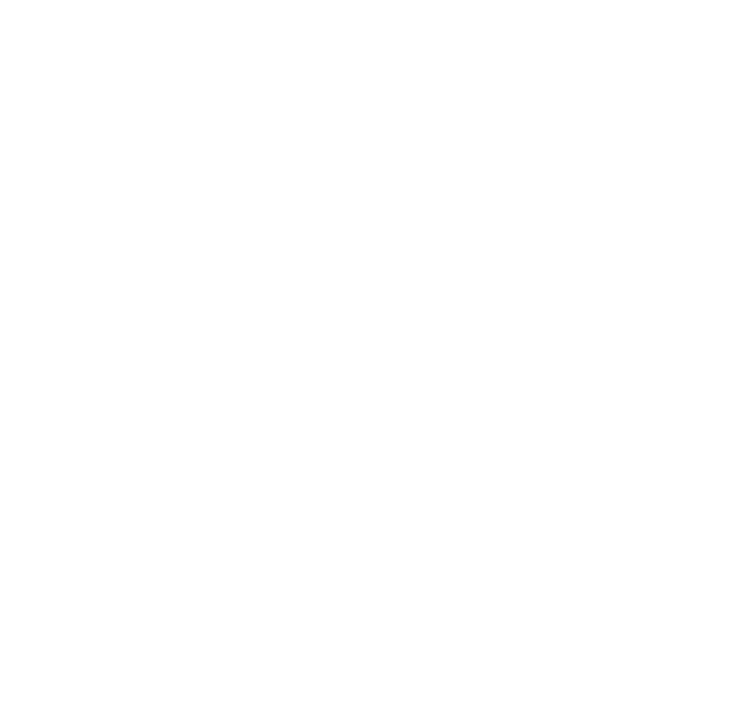 VoLo Foundation logo