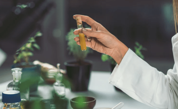 Curriculum Update: Labs and Biomarkers for Personalized Coaching
