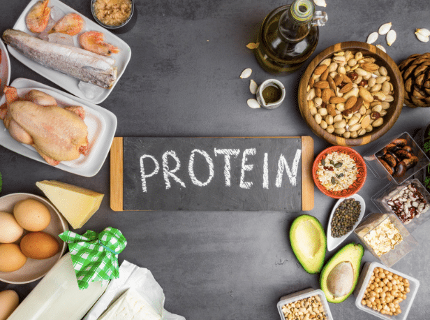 Protein 101: The Health Coach’s Guide