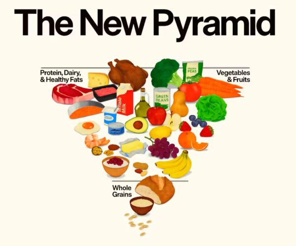 Eat Real Food: What the New Food Pyramid Means for Health Coaches ...